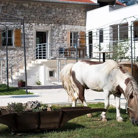 بيت ضيافة Village Trusa Tugare