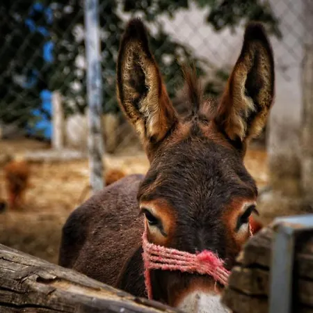 بيت ضيافة Village Trusa