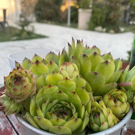 بيت ضيافة Village Trusa Tugare